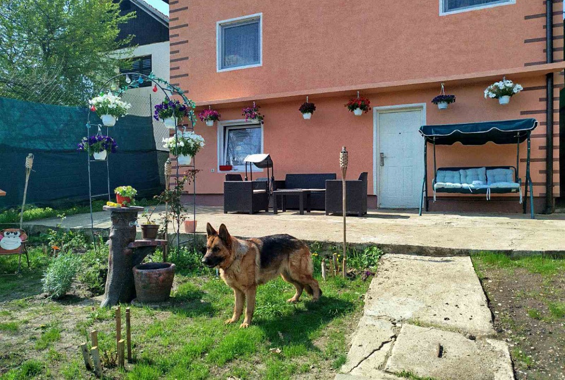 Kuca 210m2 sa 5 ari placa